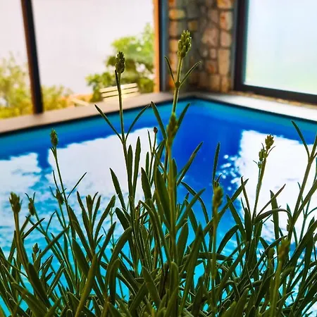 Relax , With Seaview And Two Pools Near *