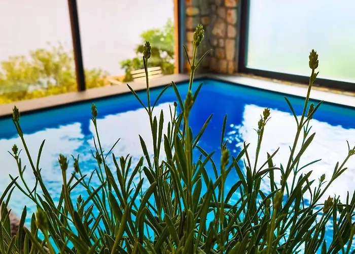 Relax , With Seaview And Two Pools Near *